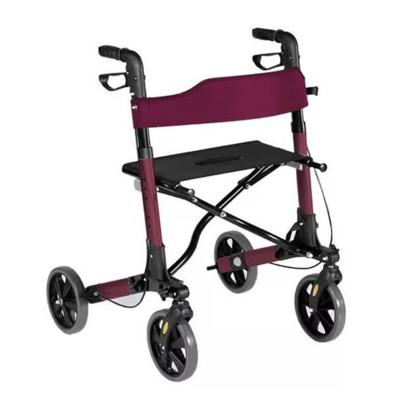 chodítko pro seniory BestBerg